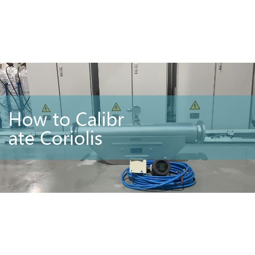 How to Calibrate Coriolis Flow Meter: Zero Point Adjustment under Full Loop Pressure